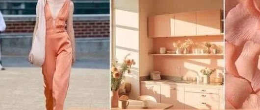 森尼2024流行色|暖色潮回歸，每一片蘊(yùn)含大美。